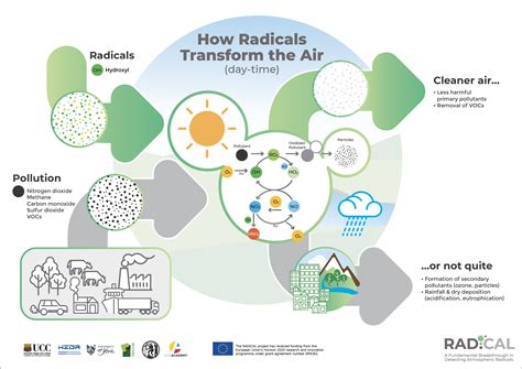 what are radicals in air quality